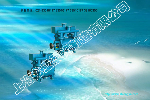 2BE1系列水环真空泵