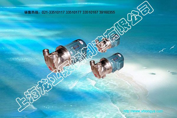 2BV6系列防爆水环式真空泵