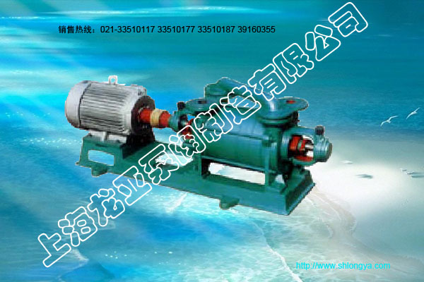 2SK真空泵,两级水环式真空泵