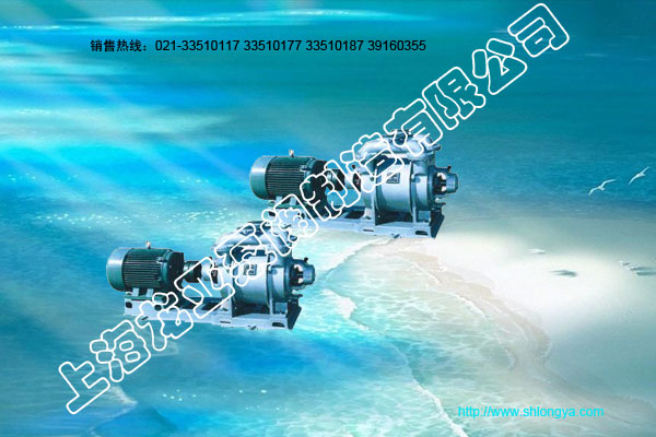 2SK系列水环式真空泵