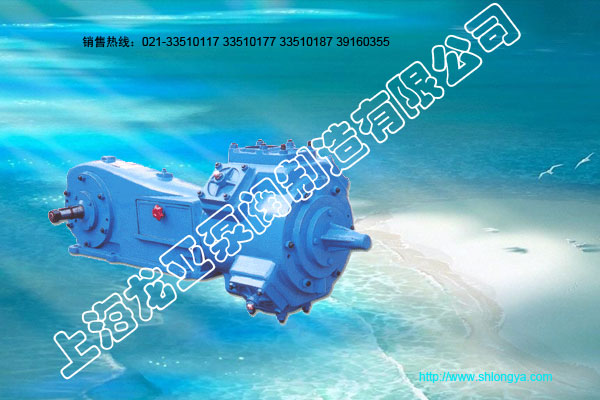 2W·W双螺杆泵,双螺杆泵