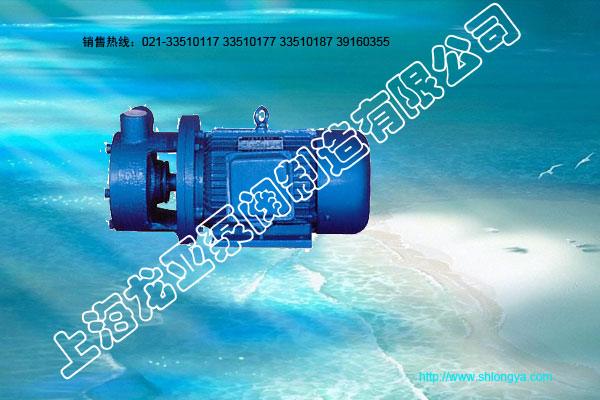 W型旋涡泵,离心旋涡泵