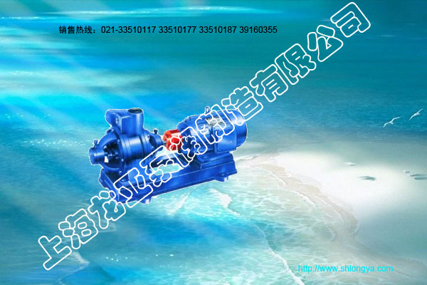 YCB圆弧不锈钢齿轮泵,圆弧不锈钢齿轮泵