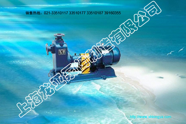 BYW卧式浓硫酸离心泵